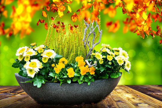 Blumenschale Grab Bilder – Durchsuchen 257 Archivfotos, Vektorgrafiken und  Videos | Adobe Stock