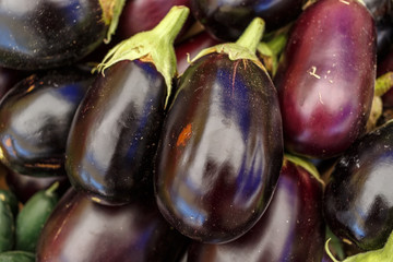 Aubergine