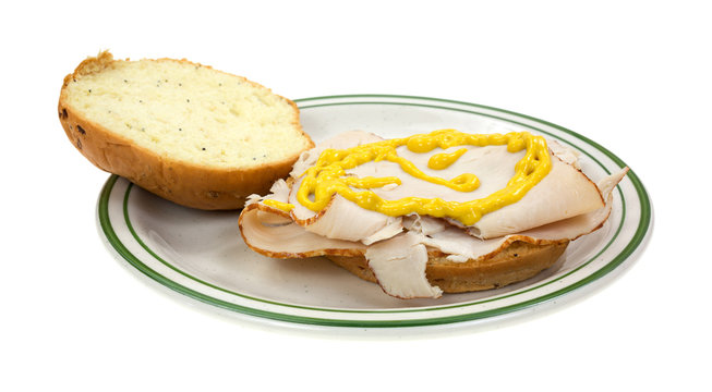Turkey sandwich with mustard