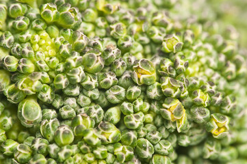 Macro shot of broccoli (the 100% crop of this image is amazing) This image can be use for food relate, and also for some abstract work