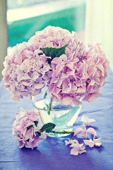 Fleurs d& 39 hortensia rose dans un vase.