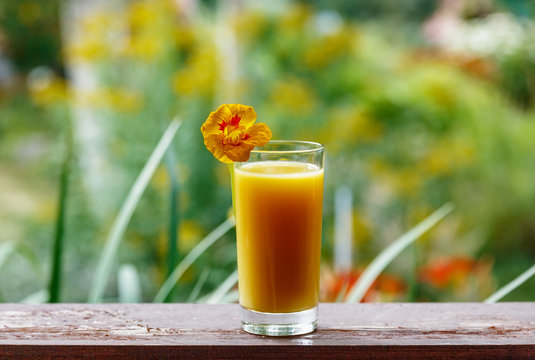 Glass of juice in a garden