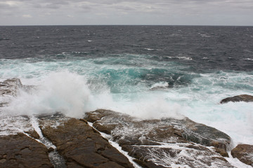 Austalian waves on beach, Sydney