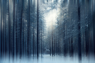 magical winter forest, a fairy tale, mystery