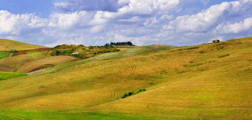 Fototapeta na wymiar pictorial Tuscana landscapes. golden hills of Orcia. panorama