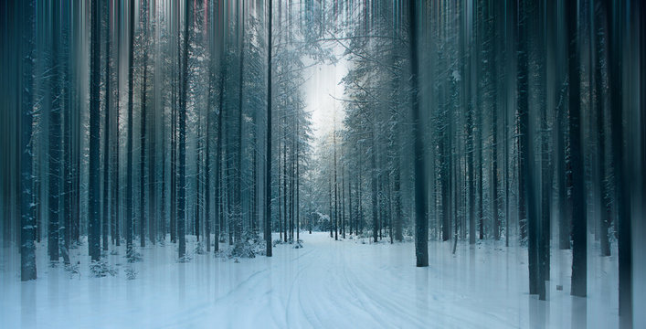 Magical Winter Forest, A Fairy Tale, Mystery