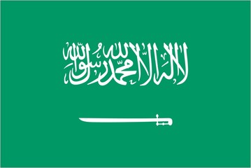 Illustration of the flag of Saudi Arabia - 68838625
