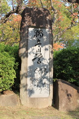独立自学