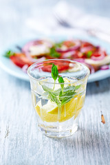 Glass of Water with Lemon and Mint