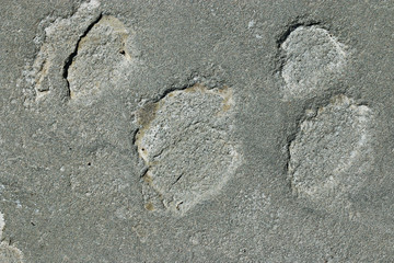 texture of granite stone