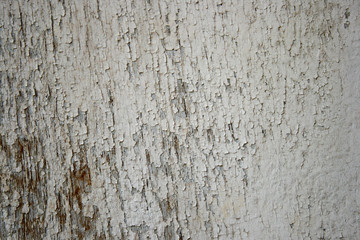 old wood background