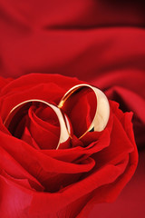 Zwei Ringe mit Rose