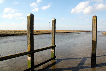 Wooden poles in the harbour of Noordpolderzijl
