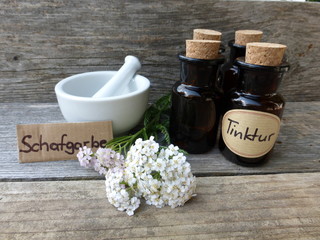 Schafgarbe © behewa