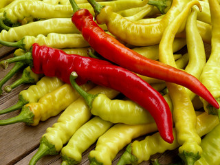 fresh harvested hot chili peppers