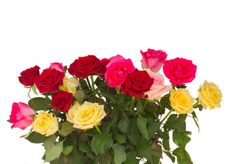 bouquet of fresh multicolored  roses