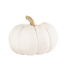 white pumpkin on white background