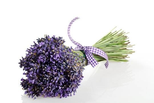 mazzo di fiori recisi di lavanda