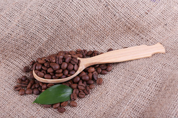 Wooden spoon of coffee beans on sacking background closeup