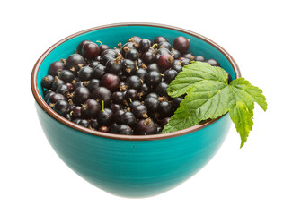 Black currant