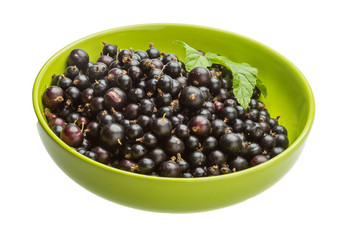 Black currant