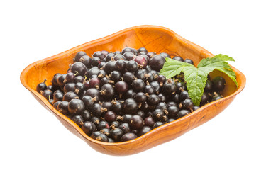 Black currant