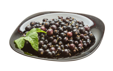 Black currant