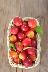 cherry-plum in basket