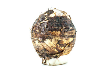Taro with white background