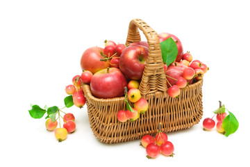ripe apples in a basket on a white background