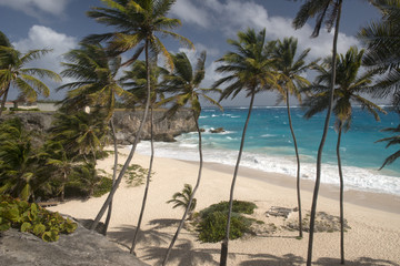 Obraz na płótnie Canvas Beach at Barbados