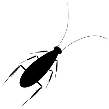 Cockroach Icon