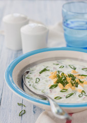Cold cucumber soup with radish, yogurt and egg