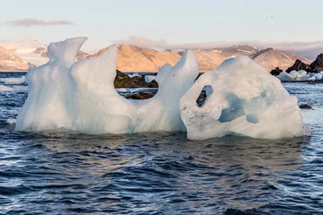 Foto op Canvas Glacier ice in the sea - Arctic landscape © Incredible Arctic