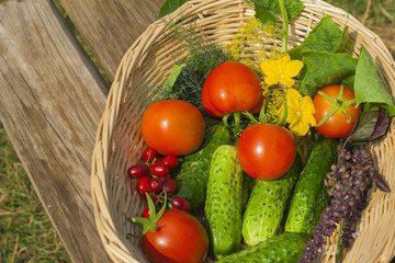 tomato, cucumber. vegetables  in basket