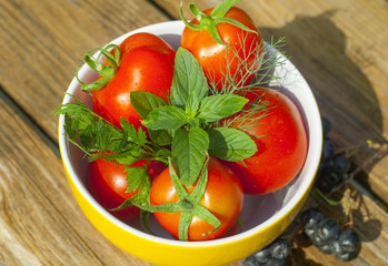 tomatoes with herbs on the plate