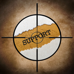 Support target