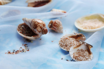 Different sea salt and shells, close up