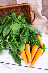 Carrots, parsley and sorrel in rectangular wicker basket