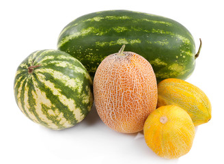 Melons and watermelons isolated on white