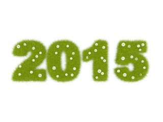 Green 2015 New Year sign