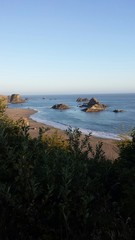 Northern California Coastline