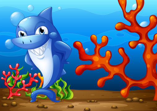 A happy shark underwater