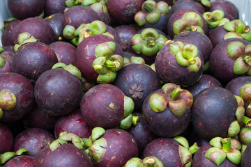 Mangosteen fruits