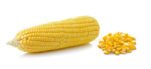 corn isolated on white background
