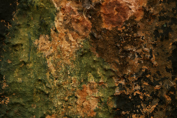 Rough Textured surface