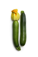 Fresh zucchini vegetable with blossom