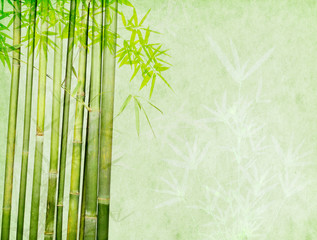 Fototapeta na wymiar bamboo on old grunge paper texture background