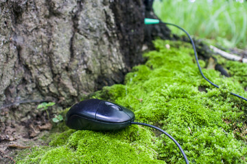 Computer mouse on the background of moss and tree