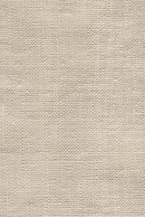 Artist Primed Linen Duck Coarse Grain Canvas Grunge Texture